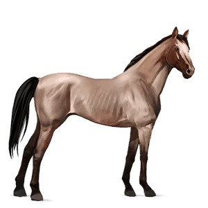 riding horse thoroughbred flaxen chestnut 