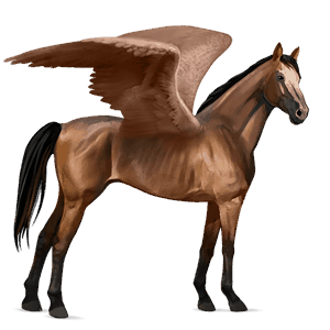 riding pegasus thoroughbred bay