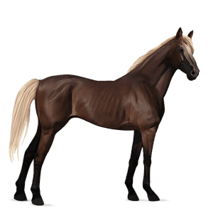 riding horse flaxen chestnut 