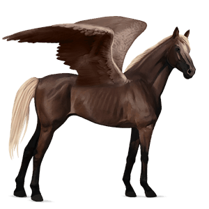 riding pegasus thoroughbred chestnut