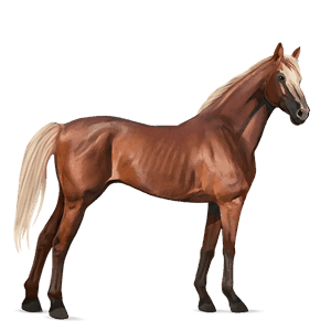 riding horse thoroughbred flaxen chestnut 