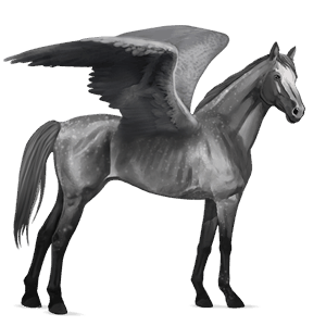 riding pegasus lipizzan chestnut