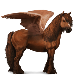 riding pegasus vanner chestnut