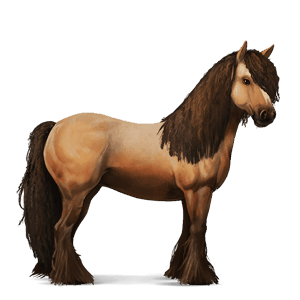 riding horse chestnut tobiano