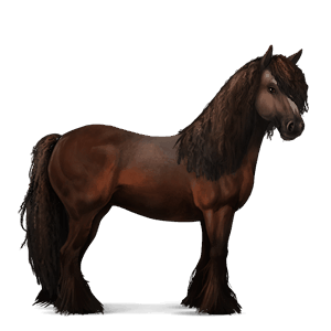riding horse vanner mouse gray