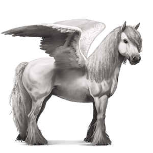 riding pegasus vanner dark bay tobiano