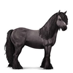 riding horse purebred spanish horse mouse gray