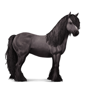 pony belgian riding pony mouse gray