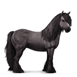 draft horse shire black