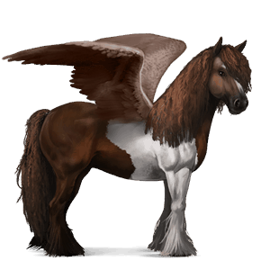 riding pegasus vanner chestnut tobiano