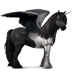 winged riding unicorn vanner black tobiano