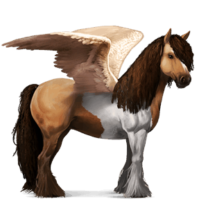 riding pegasus vanner chestnut tobiano