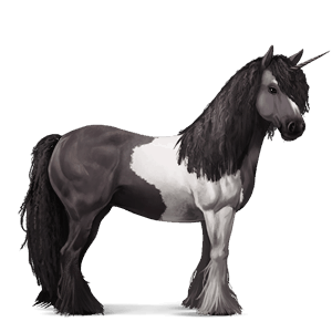 unicorn pony roan