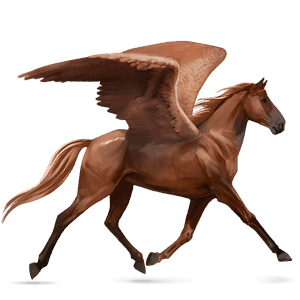 riding pegasus kwpn chestnut