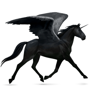 winged riding unicorn tennessee walker black