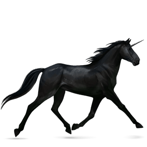 riding unicorn tennessee walker black