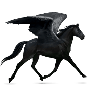 riding pegasus standardbred black