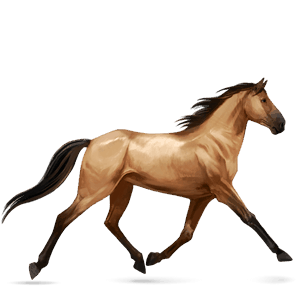 riding horse palomino