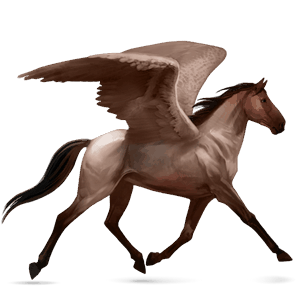 riding pegasus argentinean criollo roan