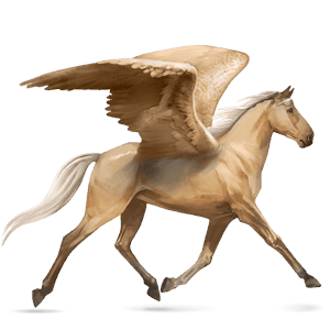 riding pegasus lusitano palomino