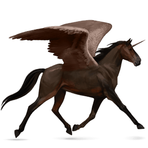 winged riding unicorn black