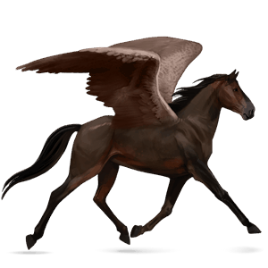 riding pegasus peruvian paso dark bay