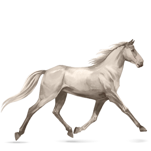 riding horse thoroughbred dun