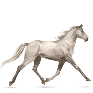 riding horse thoroughbred light gray