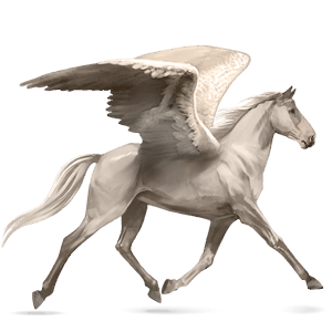 riding pegasus kwpn cremello