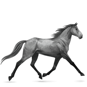riding horse tennessee walker dark bay