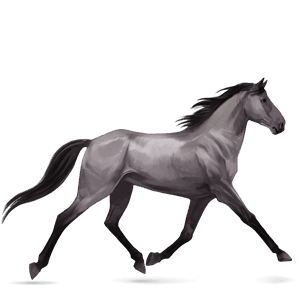 riding horse standardbred dapple gray