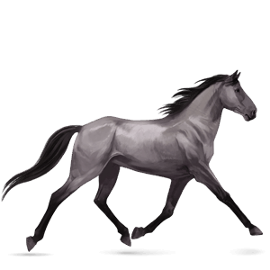 riding horse thoroughbred mouse gray