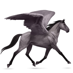 riding pegasus friesian black