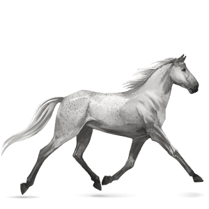 riding horse mouse gray