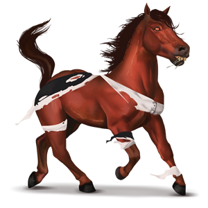 pony loony doctor