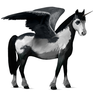 winged unicorn pony  australian pony liver chestnut