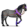 riding unicorn mountain