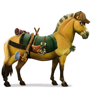 riding horse forest