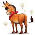 riding horse thoroughbred dun