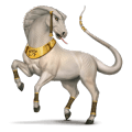 divine horse apophis