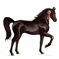 riding pegasus palomino