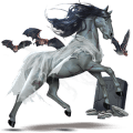 riding horse standardbred light gray