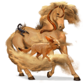 riding horse quarter horse cremello