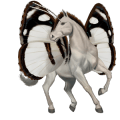 winged riding unicorn arabian horse dapple gray