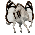 riding unicorn black blanket 