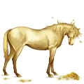 riding horse appaloosa bay blanket 
