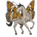 riding horse arabian horse dapple gray