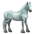 divine horse greyfell  12