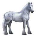 divine horse greyfell   2