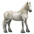 divine horse greyfell   8